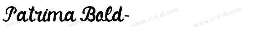 Patrima Bold字体转换